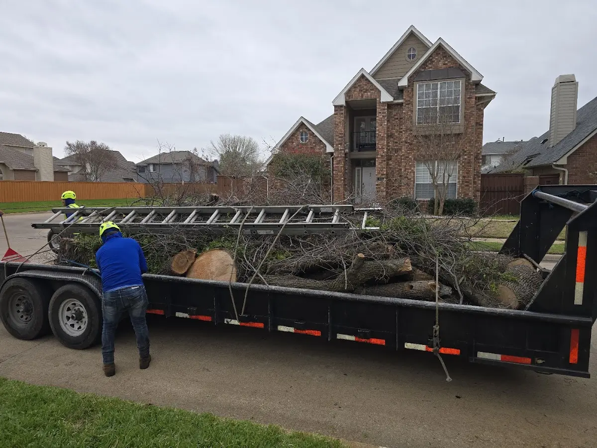 Expert Tree Pest Control with proper safety equipment in Long Island